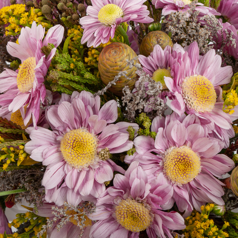 Композиция в кашпо Счастье в доме