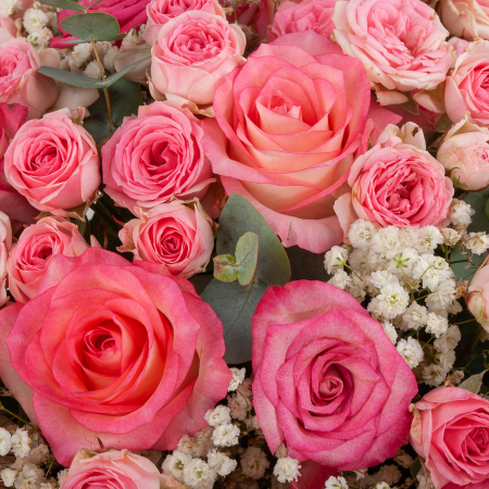 Цветы в коробке Розовый бархат