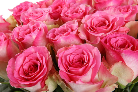 Букет 35 роз Малибу