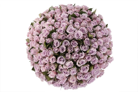 Букет Песнь Океана (151 роза)