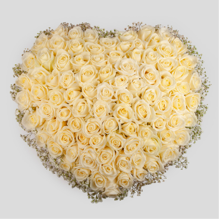 Букет в коробке Сливочное облачко (101 роза)