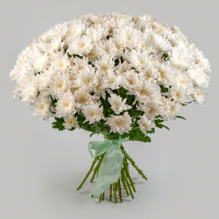 Букет 25 белых кустовых хризантем