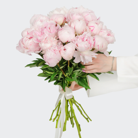Букет из пионов 19 комплиментов