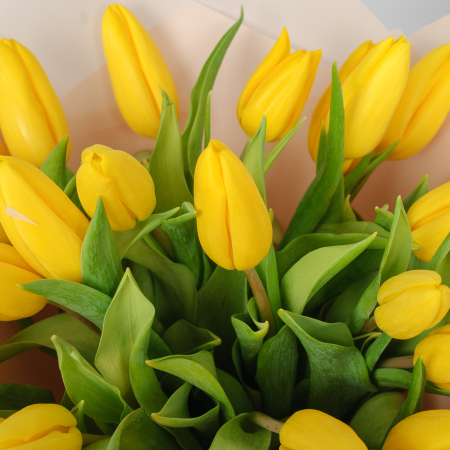 Букет 25 желтых тюльпанов