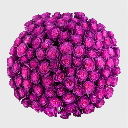 Букет 101 роза Лунный рассвет