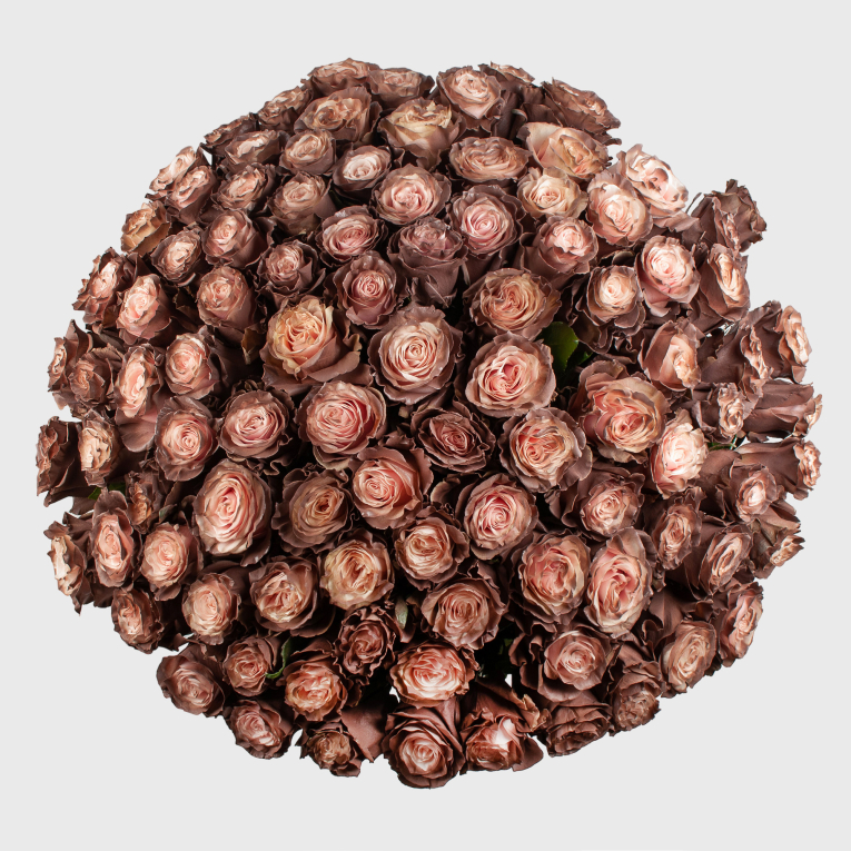 Букет 101 роза Кофе со сливками