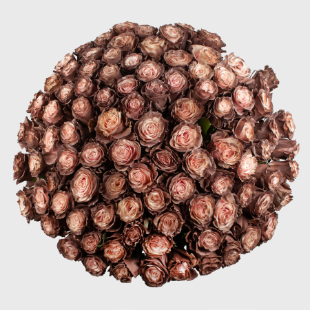 Букет 101 роза Кофе со сливками