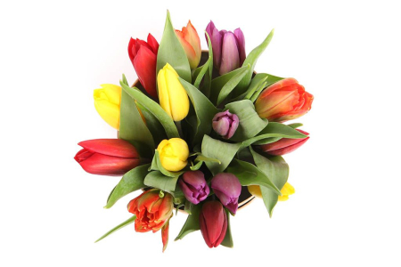 Букет 15 тюльпанов микс в шляпной коробке (крупный горох)