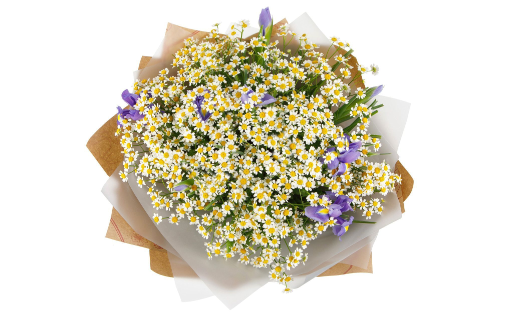 Букет Луговой тропой