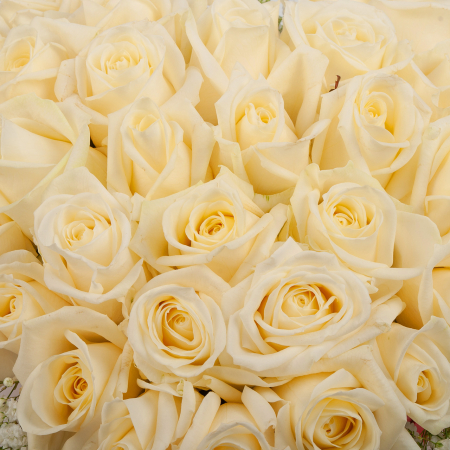 Букет в коробке Сливочное облачко (39 роз)