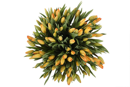 Букет 101 тюльпан, оранжевые