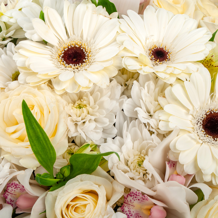 Букет Волны света