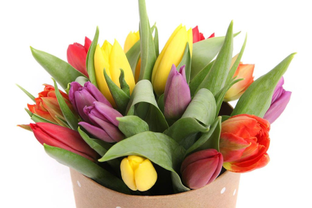 Букет 15 тюльпанов микс в шляпной коробке (горошек)