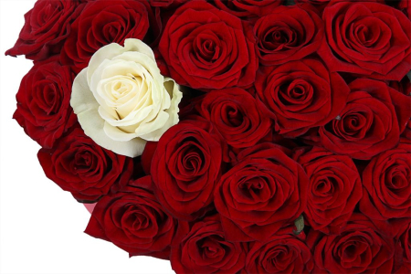 Букет Это любовь с акцентом в коробке