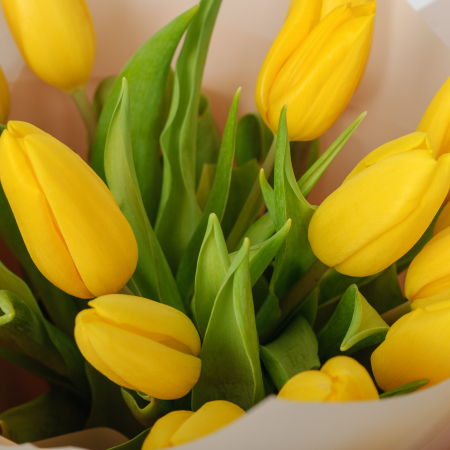 Букет 15 желтых тюльпанов