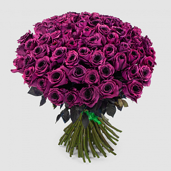 Букет 75 роз Одна любовь