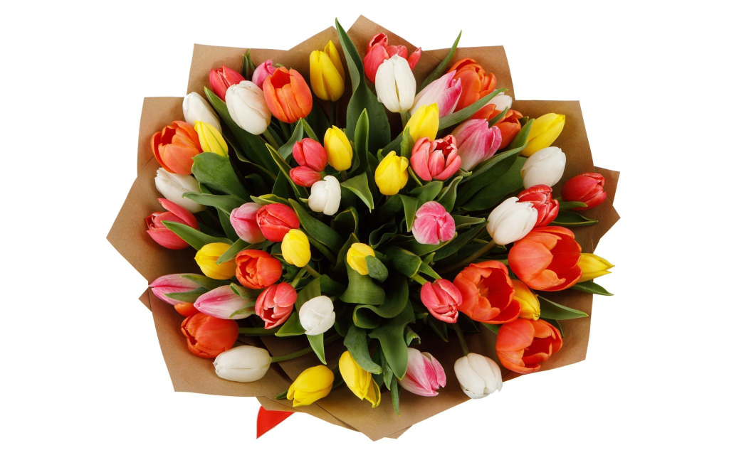 Букет из 51 тюльпана Апрель