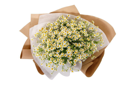 Букет 15 ромашек