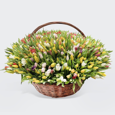 Букет 1001 тюльпан в корзине