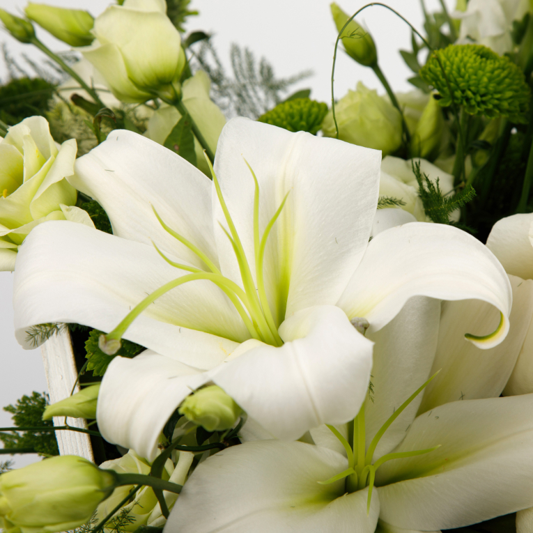 Композиция Сонное царство