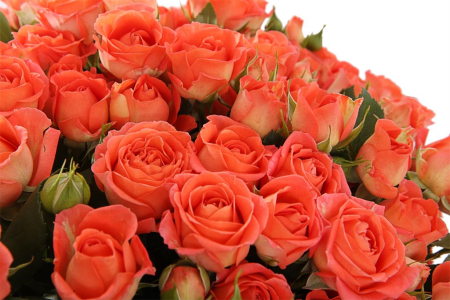 Букет Очарование