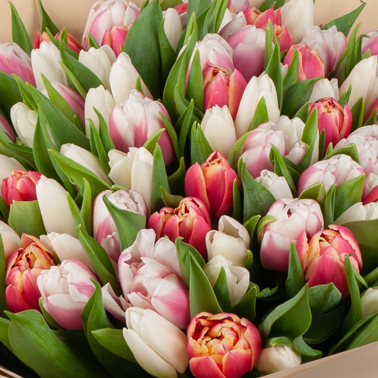 Букет 101 тюльпан Сны феи