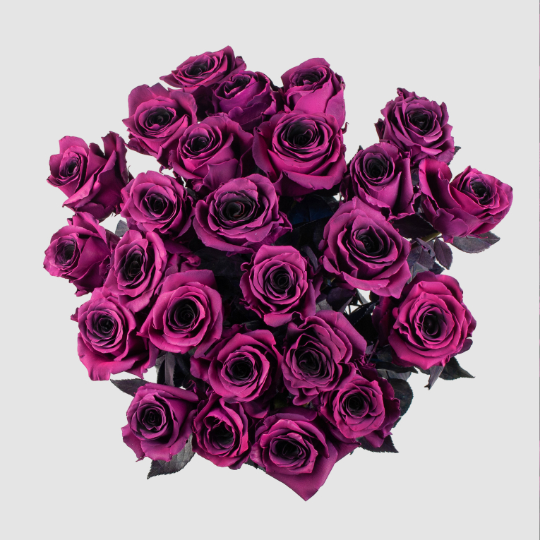 Букет 25 роз Одна любовь