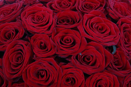 Букет Это любовь в коробке