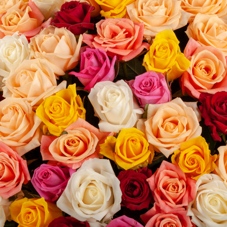 Букет в корзине Россыпь звезд (301 роза)