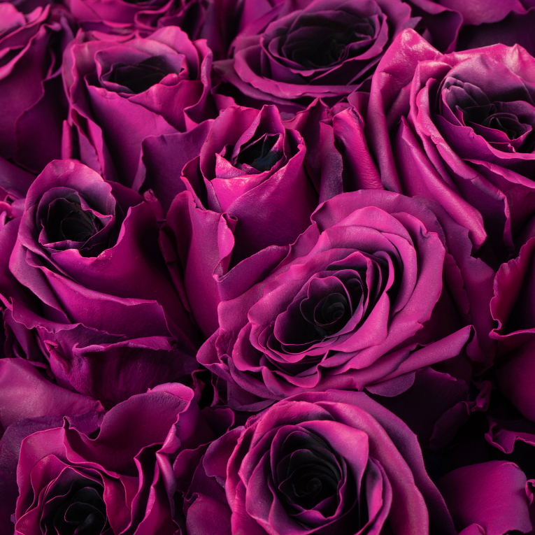 Букет 51 роза Одна любовь