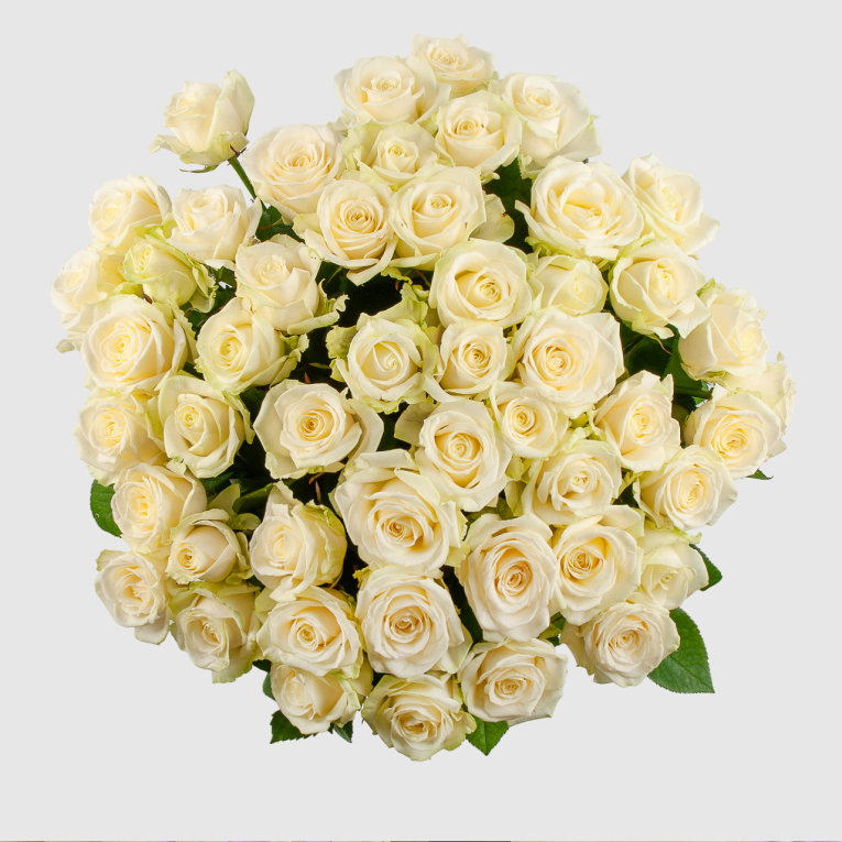 Букет из 51 розы Восторг любви