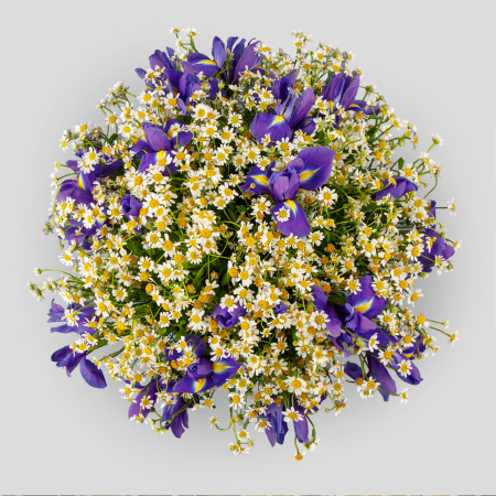 Букет с ромашками Королева полей в коробке