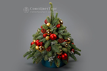 Композиция в кашпо Лесная красавица