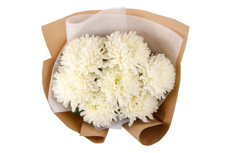 Букет из 7 белых хризантем Сингл