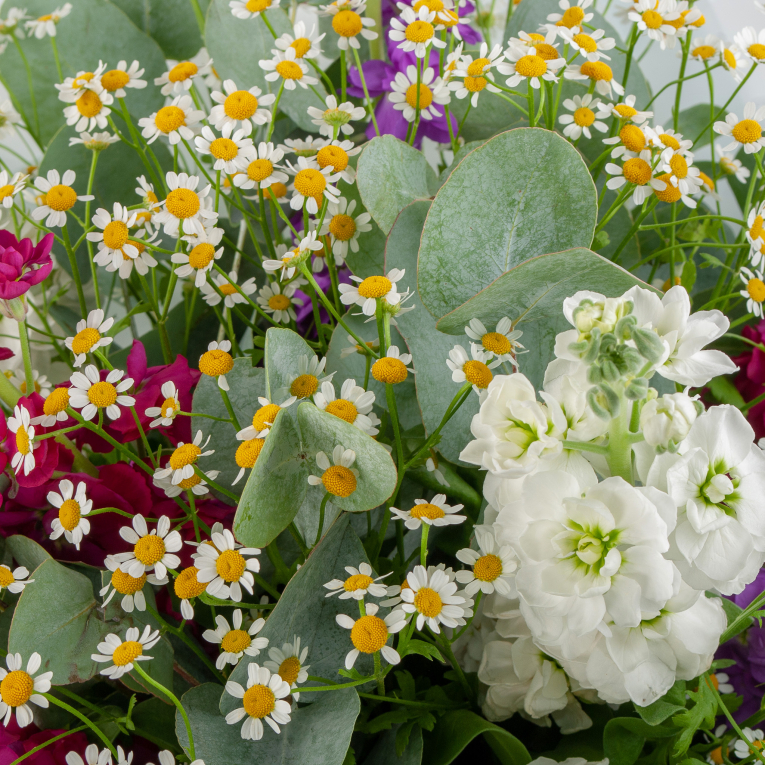 Букет Поле чудес