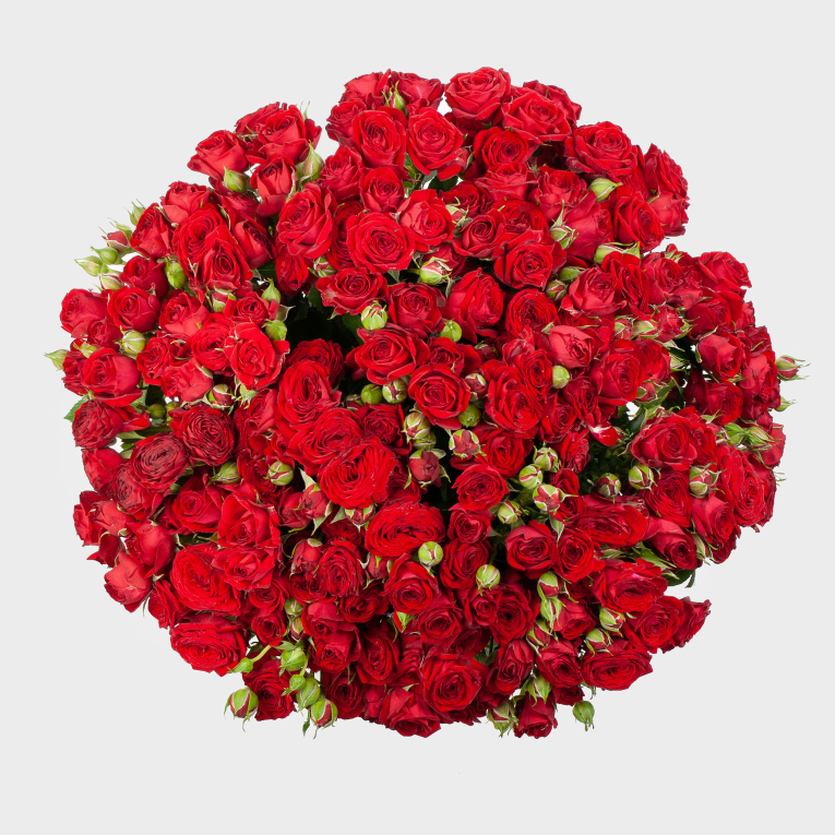 Букет из 35 кустовых роз Пламенное сердце