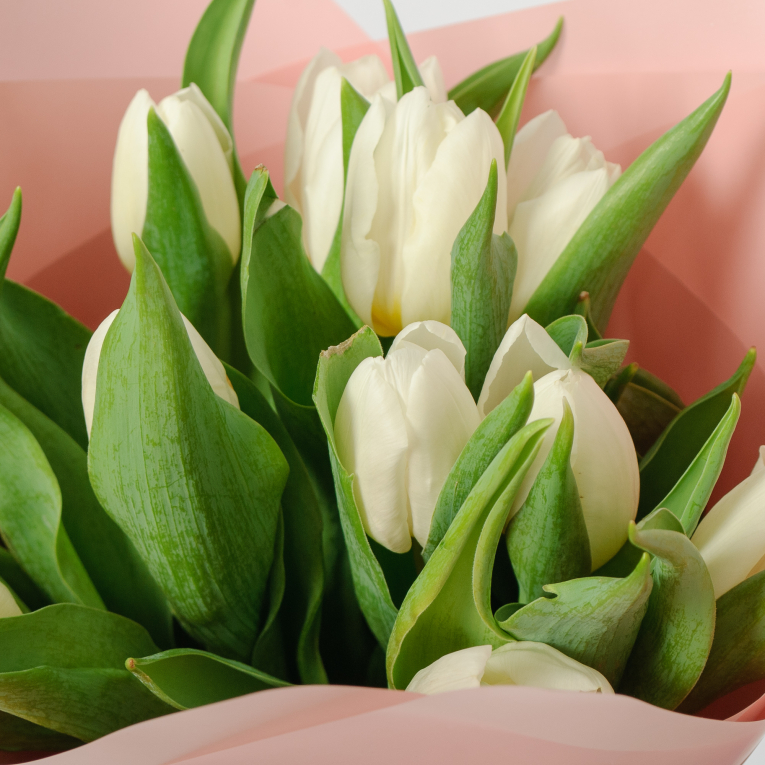 Букет 11 белых тюльпанов