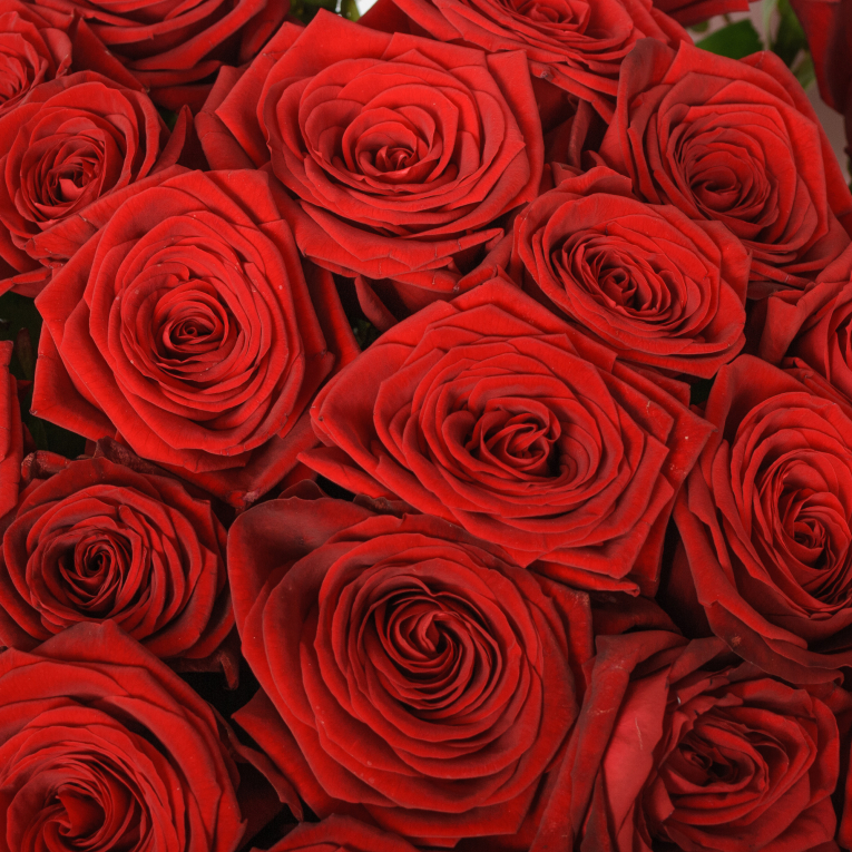 Букет 51 красная роза Ред Наоми (60 см)