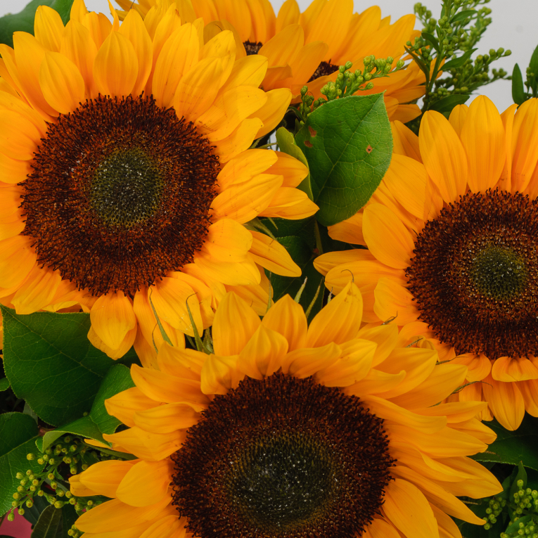 Композиция в кашпо Золото полей