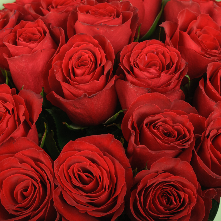 Букет из 19 розы Красный цвет страсти
