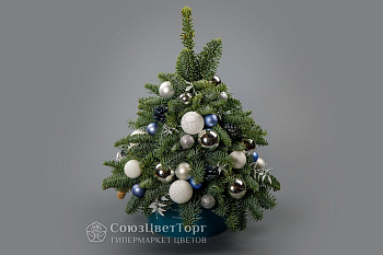 Композиция в кашпо Снежная ель