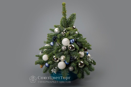 Композиция в кашпо Снежная ель