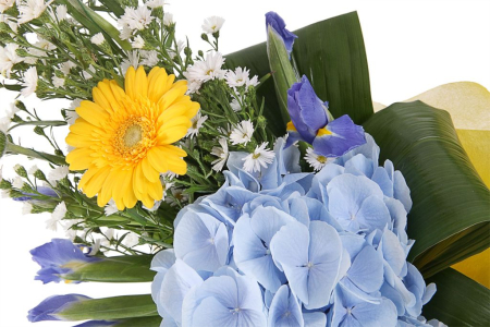 Букет Дебют