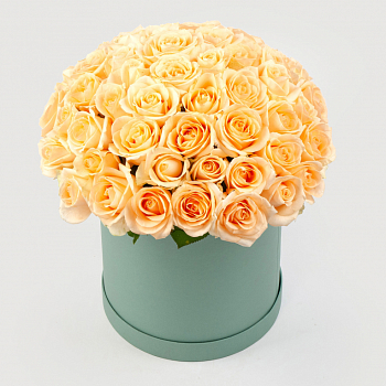 Букет в зеленой коробке Утренняя соната (51 роза)