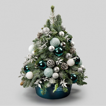 Композиция в кашпо Лесной аромат