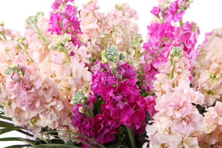 Букет Водопад желаний