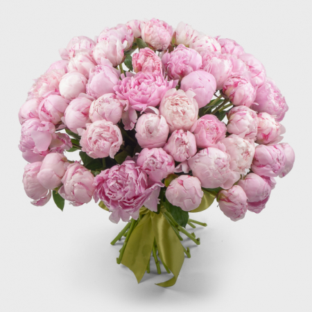Букет 51 пион Розовый жемчуг