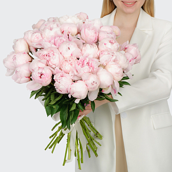 Букет из пионов 35 комплиментов
