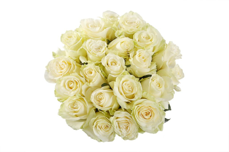 Букет 21 роза Мондиаль