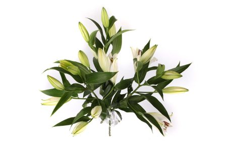 Букет 3 лилии Белая красавица